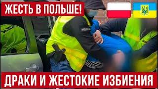 в Польше для украинцев становится небезопасно?