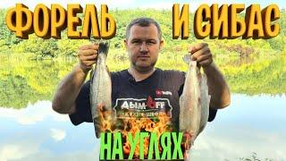 Форель и Сибас на мангале! Нежнейший шашлычок!