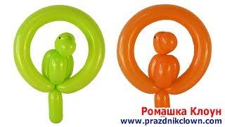 ПОПУГАЙ ИЗ ДЛИННОГО ШАРИКА ШДМ Parrot Balloon Animal TUTORIAL