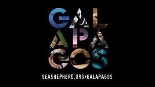 Sea Shepherd and the Galapagos