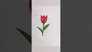 tulip  flower drawing with w letter ##tulip #flower #art #easy #letterdrawing #creativeart #shorts