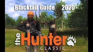 theHunter Classic - Blacktail Hunting Guide 2020