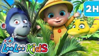 Down In The Jungle | Wheels on the Bus | Bunny Hop & More Nursery Rhymes & Cartoons | LooLoo KIDS