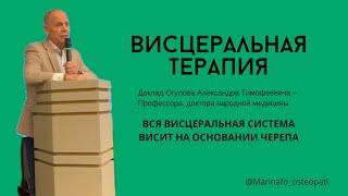 Это должен знать каждый! Вся висцеральная система висит на основании черепа! #здоровье