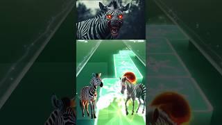 Zombie Zebra  Funny Zebra  | DJ WILDHOP -Tiles Hop EDM Rush #coffindance