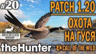 theHunter call of the wild #20  - Патч 1.20 Охота на Гуся - Ружье + Дробь - Канадская Казарка