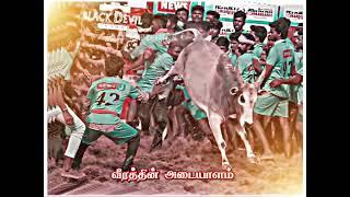 jallikkattu  Mass whatapp status Tamil KP Creation  Likes video & comments subscribe thank you