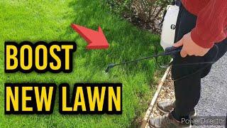 How to Feed a New lawn? Liquid Seaweed explained