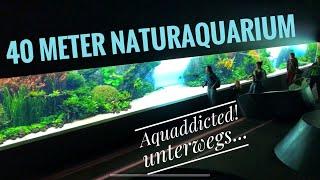 Das größte Naturaquarium der Welt | 40 Meter Lang und 160.000 Liter  | AQUaddicted! unterwegs...