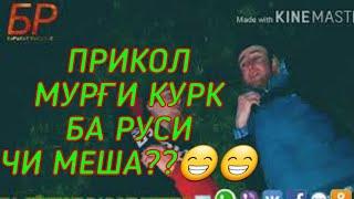 МУРГИ КУРК 2020 БАРАКАТ ВА ИБРОХИМ MURGI KURK 2020 BARAKAT FT IBROHIM