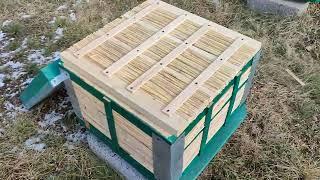 Beekeeping. Зимовка итальянских пчел в 12 рамочном улье из камыша.