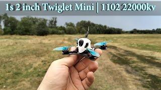 1s 2 inch Twiglet mini | 1102 22000kv