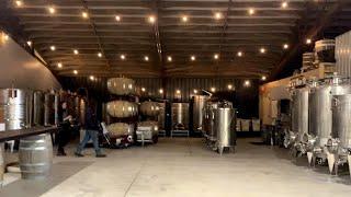 NEW & TIMELESS WINERY IN PENNSYLVANIA! CHECKOUT WAYVINE // Laura DiFrancesco