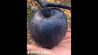 Black Diamond Apple