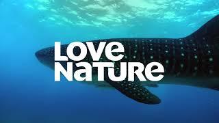 Love Nature 4K - Promo (June 2021)