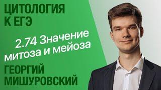 2.74. Биологический смысл митоза и мейоза | Цитология к ЕГЭ | Георгий Мишуровский