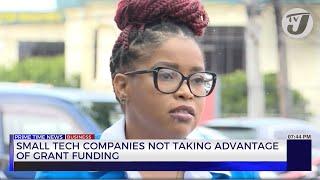 Small Tech companies not Taking Advantage of Grant Funding | TVJ Business Day