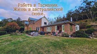 Жизнь и работа в семье австралийцев в Тасмании.