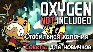 Oxygen not included советы для новичков