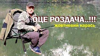 НЕЙМОВІРНА РОЗДАЧА здорових карасів у жовтні..!!!  Риболовля БІЛЯ ВОДОСПАДУ   Fishing Video