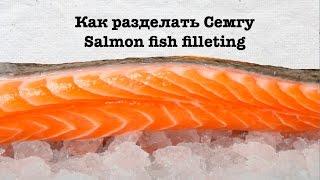 Как разделать Семгу. Мастер-класс по разделке Семги. Fish filleting. How to fillet a Salmon fish