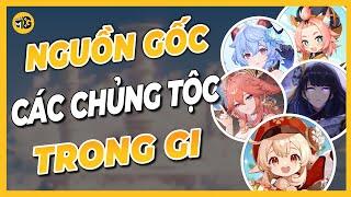 TOÀN BỘ các CHỦNG TỘC đã xuất hiện trong GENSHIN IMPACT.