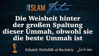 Die Weisheit hinter der großen Spaltung dieser Ummah, obwohl sie die beste Ummah ist