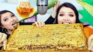 We Tried ASMR.. Giant Raw Honeycomb, Aloe Vera +more (Sticky Crunchy Sounds)