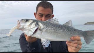 Bass Fishing with lures - Sea Fishing for bass.