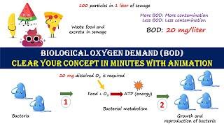 Biological Oxygen Demand (BOD) | Learn easy learn smart