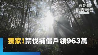 2025原保地補償翻倍引爆投資亂象！擁十公頃以上573人　年入60萬比上班好賺　八成四原住民卻領不到　大戶年領千萬｜補貼之國 產業弱勢的真相｜鏡新聞調查報告｜#鏡新聞