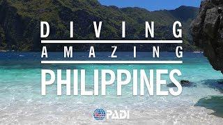 Diving the Amazing Philippines 