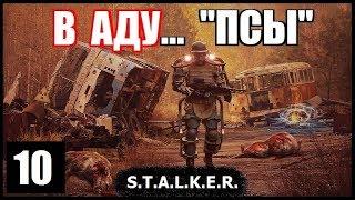 S.T.A.L.K.E.R. В Аду... Псы #10. ПРИПЯТЬ, ТУШКАН-ВЕЛИКАН и КУКЛА