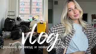 НЕДЕЛЬНЫЙ ВЛОГ ПЕРЕЕЗД и его причины | FixPrice Hoff ПИК Аренда // въехали в пустую квартиру