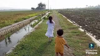 pemandangan di tengah sawah yang indah kota tuban