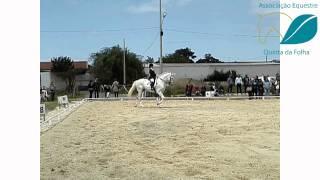 Prova de Dressage - Marta Gonçalves - P1 - 2º Lugar