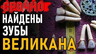 СРОЧНО!!! В Адыгее найдены зубы Великана