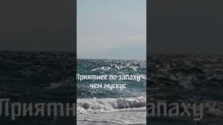 пророк мухаммад с.а.с Лучший из людей #пророк #мухаммад #сахифаи #ислам #хадис #аллах