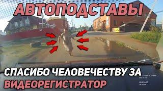 Автоподставы на ДорогеНеадекватные водители и пешеходы#1