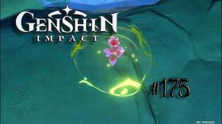 Genshin Impact #175 Трава яджна