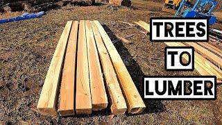 Turning Trees Into 6x6 Beams