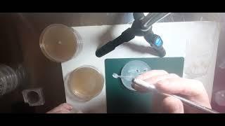 Golden Mammoth  isolation From Liquid Culture & Agar to Agar Transfer + Lizard King  Agar to Agar