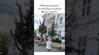 shehzadon ka jazeera Abdul Rahman pasha ke bagher #novel
