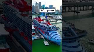 Сколько длится круиз на лайнере? #сша #америка #usa #america #жизньвсша #cruise