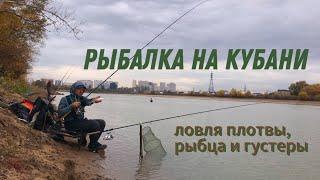 Рыбалка на Кубани. Ловля плотвы, рыбца и густеры