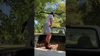 Ted Boogie Does His Best Coyote Ugly Dance