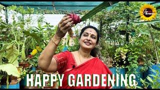 HAPPY GARDENING / #seetha #garden #gardening