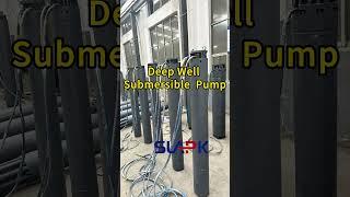 Deep Well Submersible  Pump  #submersiblepump #submersiblewaterpump #deepwellpump #boreholepump