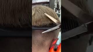 Тушёвка от Kamila