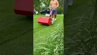 Father’s Day just got reel! @MyRolux #lawncare #grass #diy #reelmower #satisfying #lawnstripes
